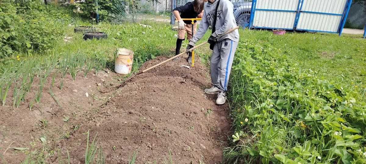 Забудьте о тяпке до осени: гениальный метод из СССР, который делает дорожки между грядками идеально чистыми