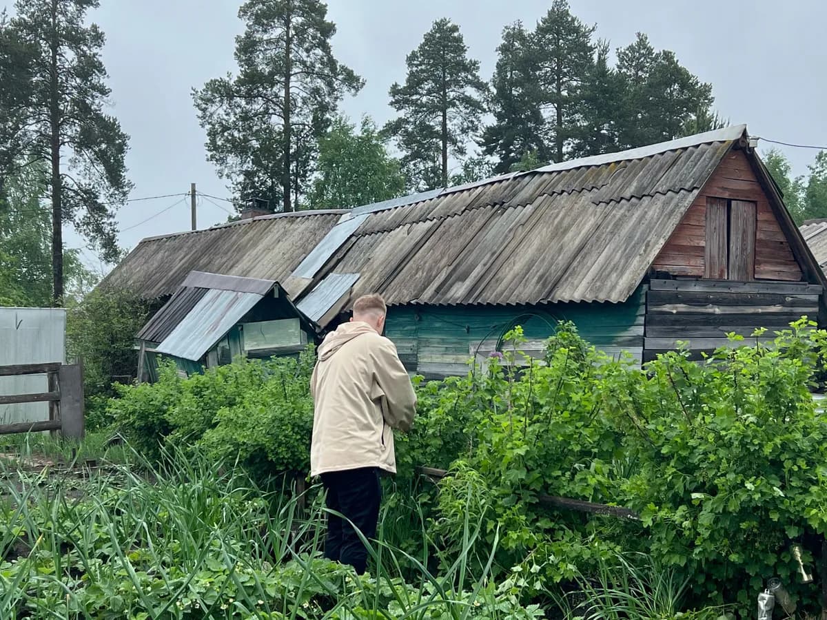 Как правильно избавиться от сорняков на огороде: уксусом, солью, содой или крахмалом
