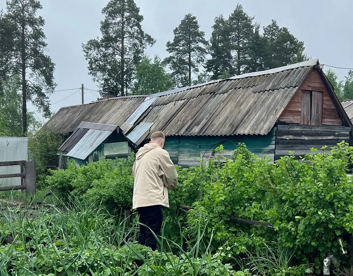 Сыплю весной на все грядки и под все кусты: вместо тысячи подкормок - 1 ложка лучшего удобренияи урожай собираю ведрами
