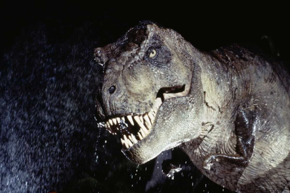 Секс динозавров, член динозавра