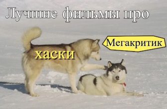 Фильмы про хаски