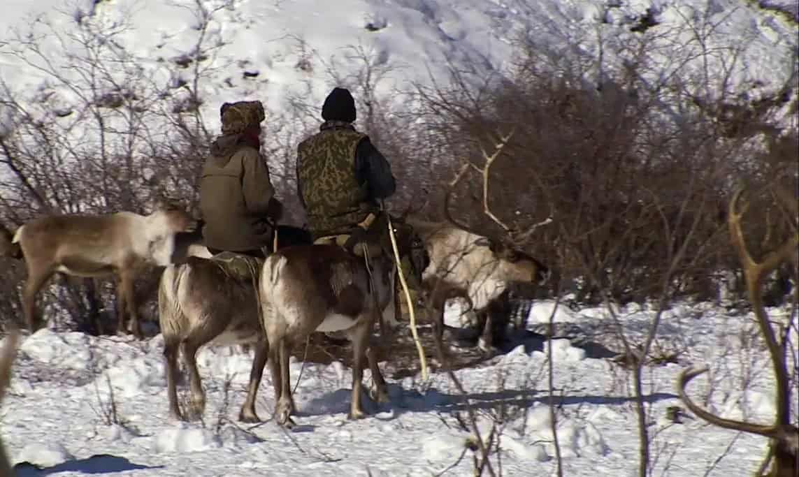 Дикая Россия