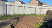 Перегной больше не использую: 1 пачка порошка с кухни заменяет тонну навоза