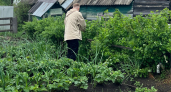 Как правильно избавиться от сорняков на огороде: уксусом, солью, содой или крахмалом