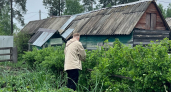 Сыплю весной на все грядки и под все кусты: вместо тысячи подкормок - 1 ложка лучшего удобренияи урожай собираю ведрами