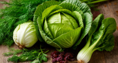 Все лето готовлю этот зеленый суп, со сметаной пальчики оближешь: вкусный способ съесть много зелени и молодой капусты