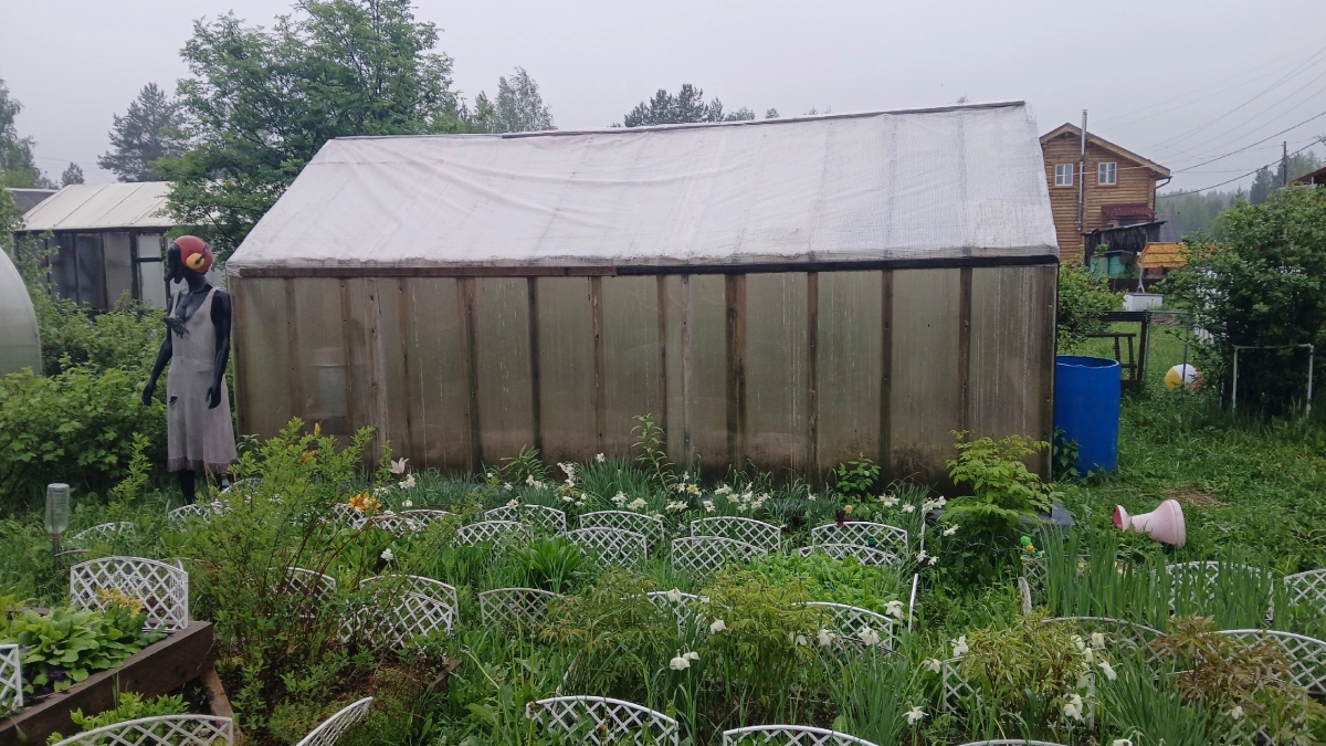 Пленка и поликарбонат больше не в тренде: сейчас все предпочитают для теплиц этот вариант — куда надежнее и удобнее