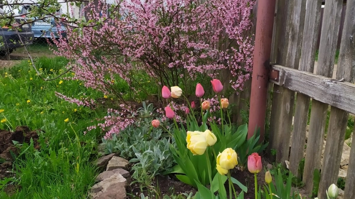 Топ-5 необычных идей по обустройству небольшого сада, которые захочется повторить