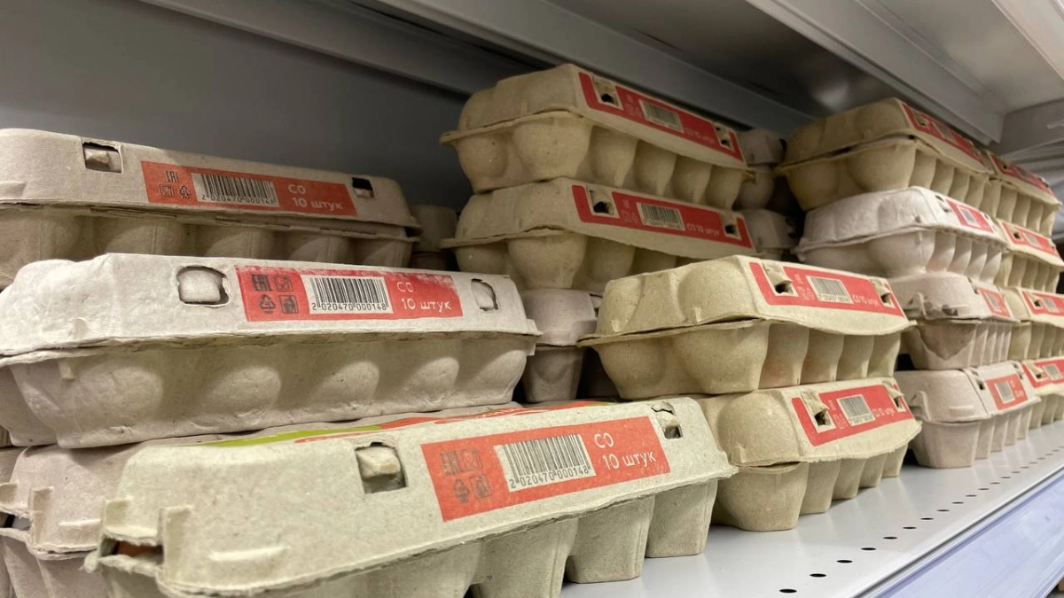 Пустые лотки от яиц больше не выкидываю: нашла им применение и не могу нарадоваться