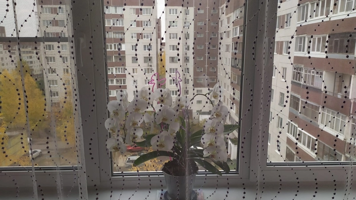 1 колпачок в воду - и окна мыть до осени не нужно: сияют чистотой как горная река, никаких разводов - лайфхак