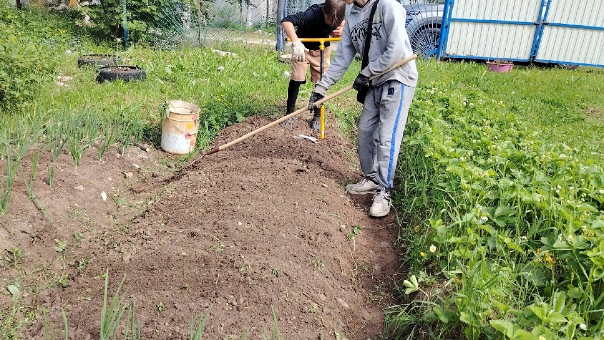 Забудьте о тяпке до осени: гениальный метод из СССР, который делает дорожки между грядками идеально чистыми