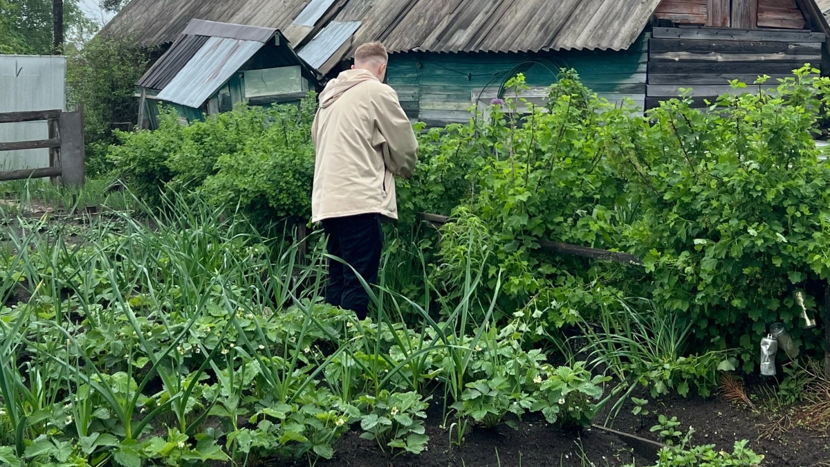 Как правильно избавиться от сорняков на огороде: уксусом, солью, содой или крахмалом 
