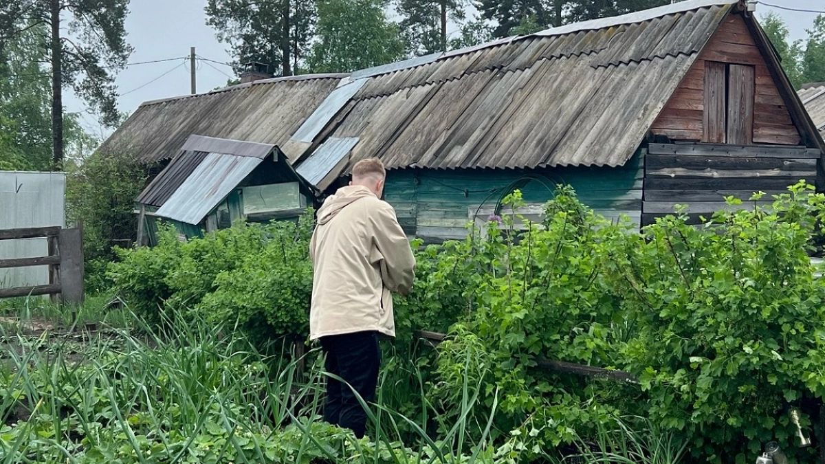 Сыплю весной на все грядки и под все кусты: вместо тысячи подкормок - 1 ложка лучшего удобренияи урожай собираю ведрами